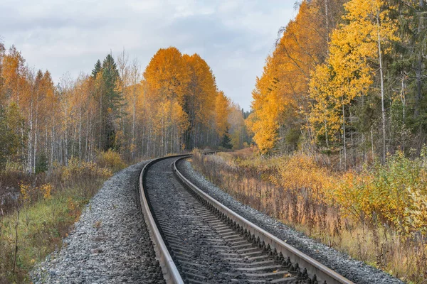 Długa Linia Kolejowa Jesienią Rosja — Zdjęcie stockowe