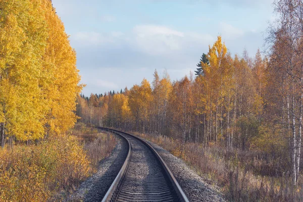 Sonbahar günü uzun demiryolu hattı. Rusya.