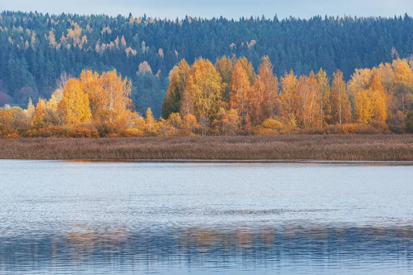 Vista Floresta Outono Junto Lago República Carélia Rússia — Fotografia de Stock
