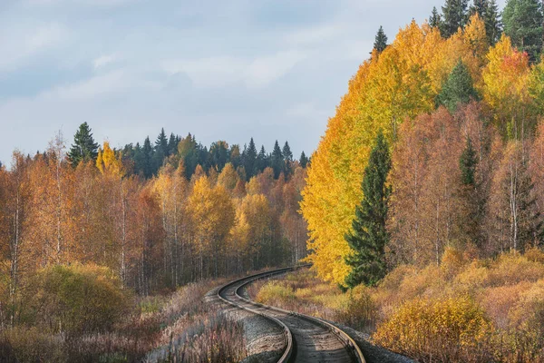 Long Railway Line Autumn Day Time — Stock Photo, Image