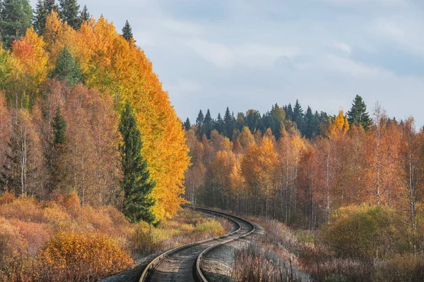 Long Railway Line Autumn Day Time Russia — Stock Photo, Image