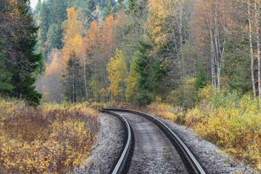 Sonbahar günü uzun demiryolu hattı. Rusya.