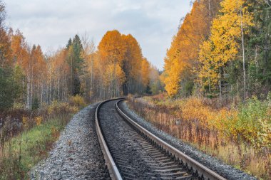 Sonbahar günü uzun demiryolu hattı. Rusya.