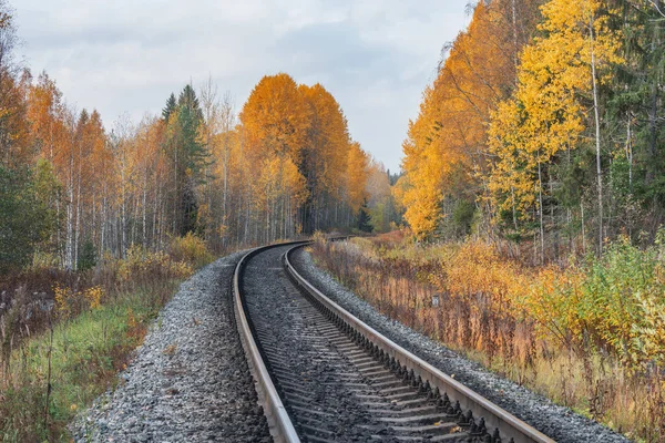 Sonbahar Günü Uzun Demiryolu Hattı Rusya — Stok fotoğraf