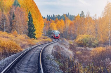 Yolcu mazot yerel treni sonbahar günü Sortavala 'ya hareket eder. Karelia. Rusya.