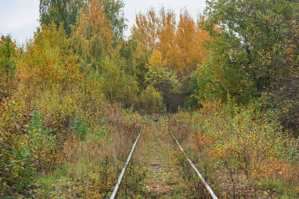 Gamla Järnvägslinjen Höstdagen — Stockfoto