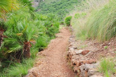 Yürümek için yol. Doğal rezerv Zingaro. Sicilya. İtalya.