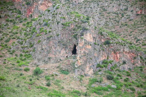 Mağaraya Giriş Doğal Rezerv Zingaro Sicilya Talya — Stok fotoğraf