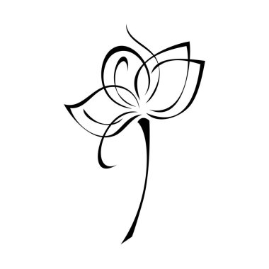 Beyaz arka planda siyah çizgiler içinde yaprakları olmayan kısa saplı bir çiçek.