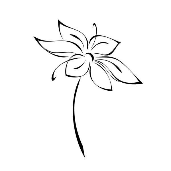 Jeden Stylizowany Kwitnący Kwiat Krótkiej Łodydze Bez Liści Czarnych Liniach — Wektor stockowy