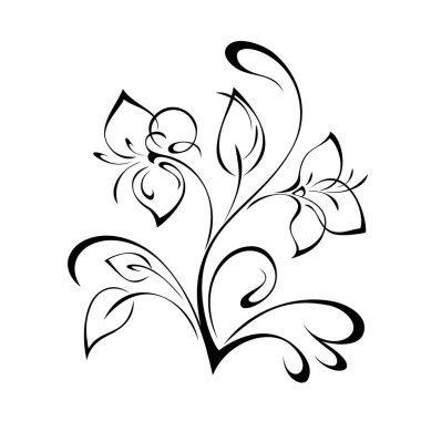 Çiçek desenli yaprak ve bukleleri beyaz arkaplanda siyah çizgiler üzerinde açan çiçekler.