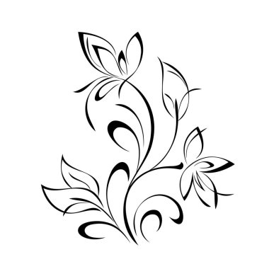 Çiçek desenli yaprak ve bukleleri beyaz arkaplanda siyah çizgiler üzerinde açan çiçekler.