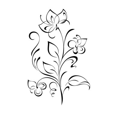 Çiçek desenli yaprak ve bukleleri beyaz arkaplanda siyah çizgiler üzerinde açan çiçekler.