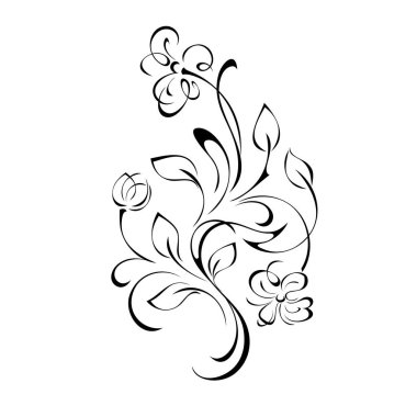 Çiçek desenli yaprak ve bukleleri beyaz arkaplanda siyah çizgiler üzerinde açan çiçekler.