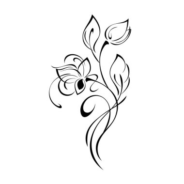 Yaprakları ve bukleleri olan kıvrımlı bir sapta büyük taç yaprakları olan stilize çiçekler. grafik dekor