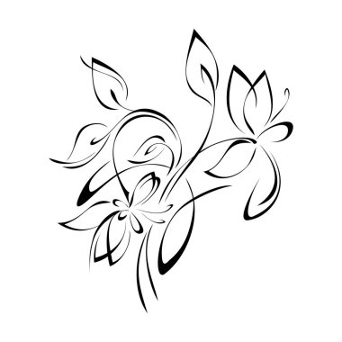 Beyaz arkaplan üzerinde siyah çizgiler olan soyut dekoratif çiçek