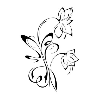 Beyaz arkaplanda siyah çizgili bukleli çiçek deseni