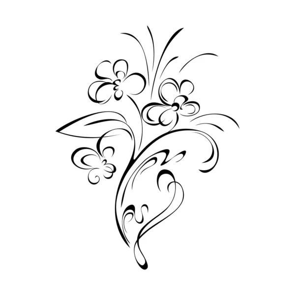 Motif Floral Avec Boucles Lignes Noires Sur Fond Blanc — Image vectorielle