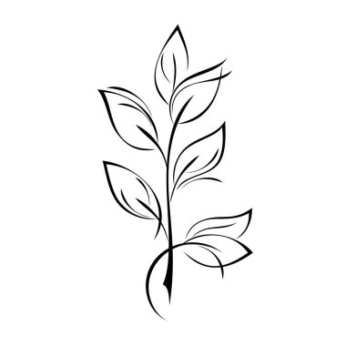 Beyaz arka planda siyah çizgileri olan stilize bir dal.
