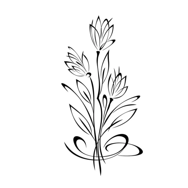 由三束花组成 长茎上有叶子和卷曲的黑色线条 白色背景 — 图库矢量图片