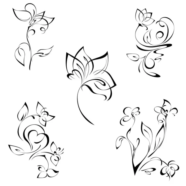 Stylized Flowers Stems Leaves Black Lines White Background Set — Stock Vector