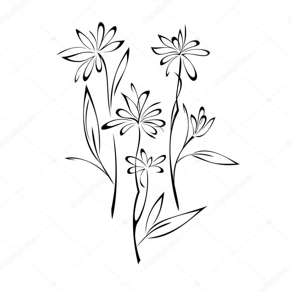 several blossomed stylized flowers on stems with leaves in black lines on a white background