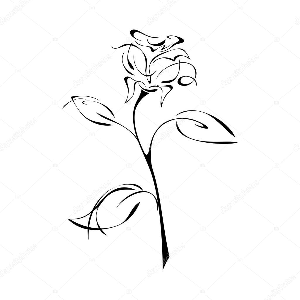 stylized rose with leaves in black lines on white background