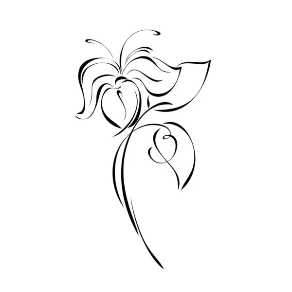 Jeden Stylizowany Kwiat Łodydze Liśćmi Czarnych Liniach Białym Tle — Wektor stockowy