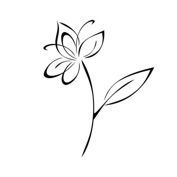 Floare Înfloritoare Petale Mari Tulpină Scurtă Frunză Decor Grafic — Vector de stoc