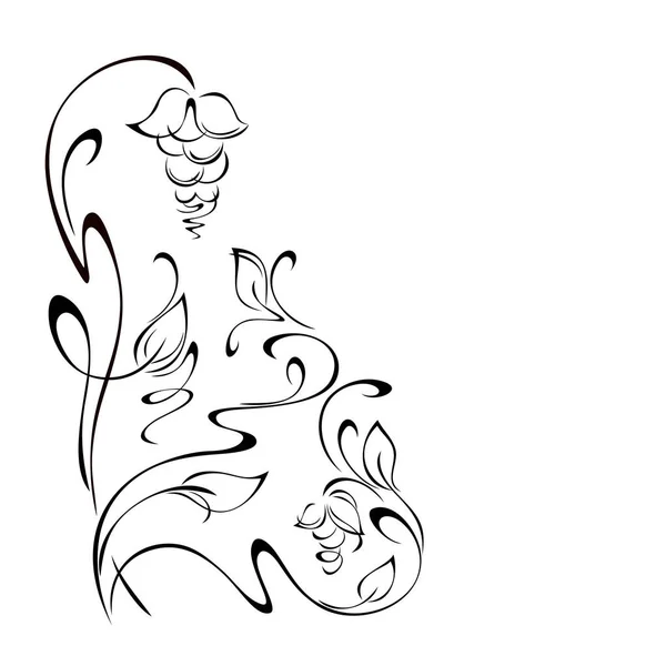 Stiliserade Utsmyckade Stjälkar Med Dekorativa Blommor Blad Och Lockar Grafisk — Stock vektor