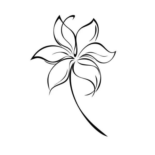 一种在没有叶子的短茎上的花柱 图形装饰 — 图库矢量图片