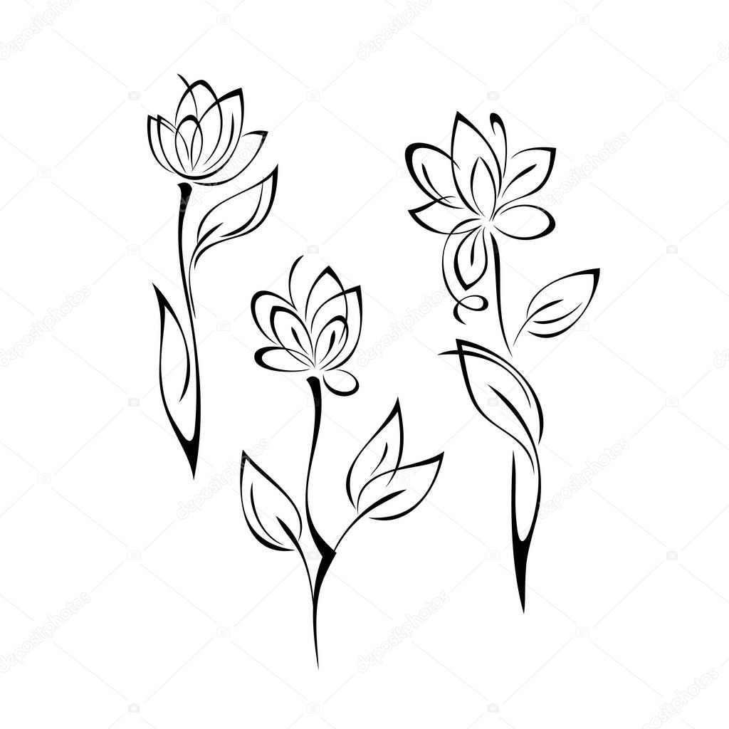 three separate decorative blossoming flowers on stems with leaves. graphic decor
