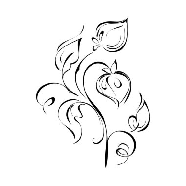 Yaprakları ve bukleleri olan kıvrımlı sapları olan stilize çiçekler. grafik dekor