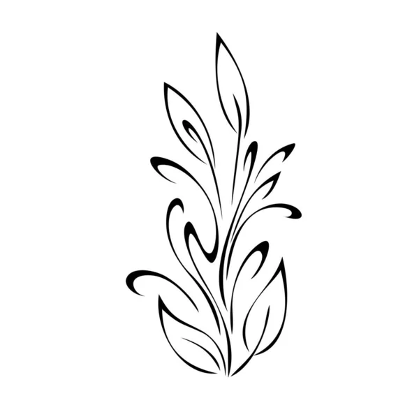 Plante Stylisée Avec Des Feuilles Des Boucles Décor Graphique — Image vectorielle