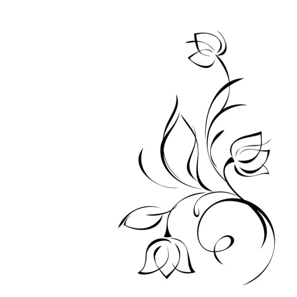 Στυλιζαρισμένο Κλαδί Μπουμπούκια Λουλουδιών Και Φύλλα Μαύρες Γραμμές Λευκό Φόντο — Διανυσματικό Αρχείο