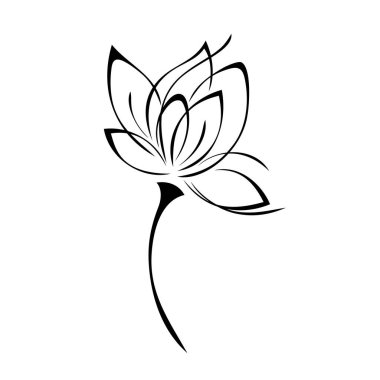 Yaprakları olmayan kısa saplı bir çiçek. grafik dekor