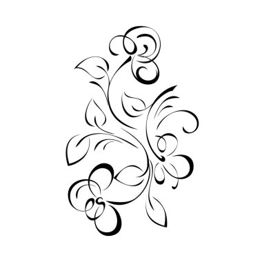 Dekoratif çiçek deseni, beyaz arkaplanda siyah çizgiler ve yapraklar.