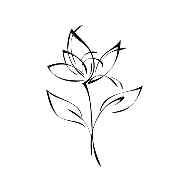 Stilizált Virág Szárán Levél Fekete Vonalak Fehér Háttér — Stock Vector