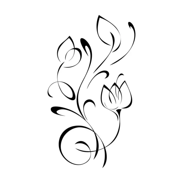 Ornamento Floral Decorativo Con Flores Estilizadas Hojas Líneas Negras Sobre — Vector de stock