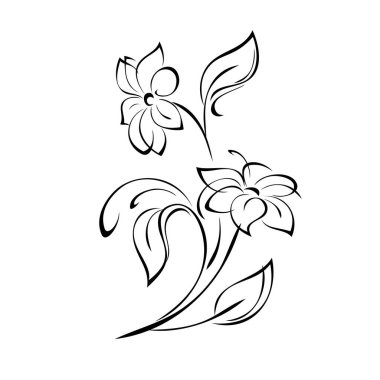 Yapraklar ve buklelerle çiçek açan iki stilize çiçek. grafik dekor
