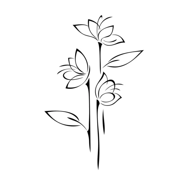 Tři Stylizované Květy Stoncích Listy Grafický Dekor — Stockový vektor