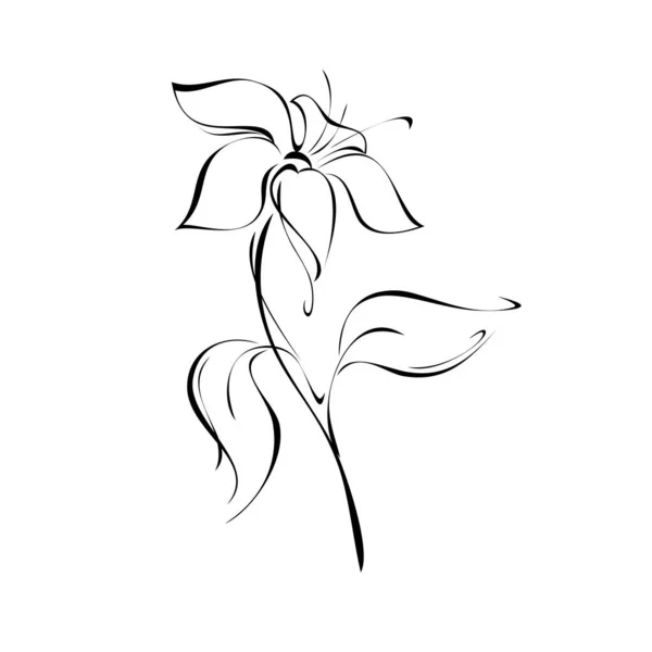 Stylizované Květiny Stonku Listem Černé Čáry Bílém Pozadí — Stockový vektor