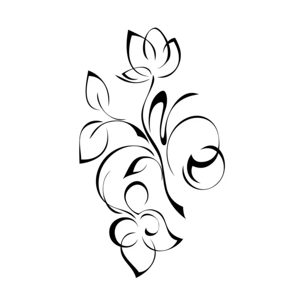 Ornamento Floral Decorativo Con Flores Hojas Líneas Negras Sobre Fondo — Vector de stock