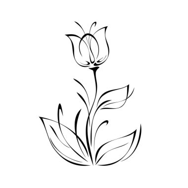 Sapında siyah çizgilerle beyaz arkaplanda yaprakları olan stilize çiçek