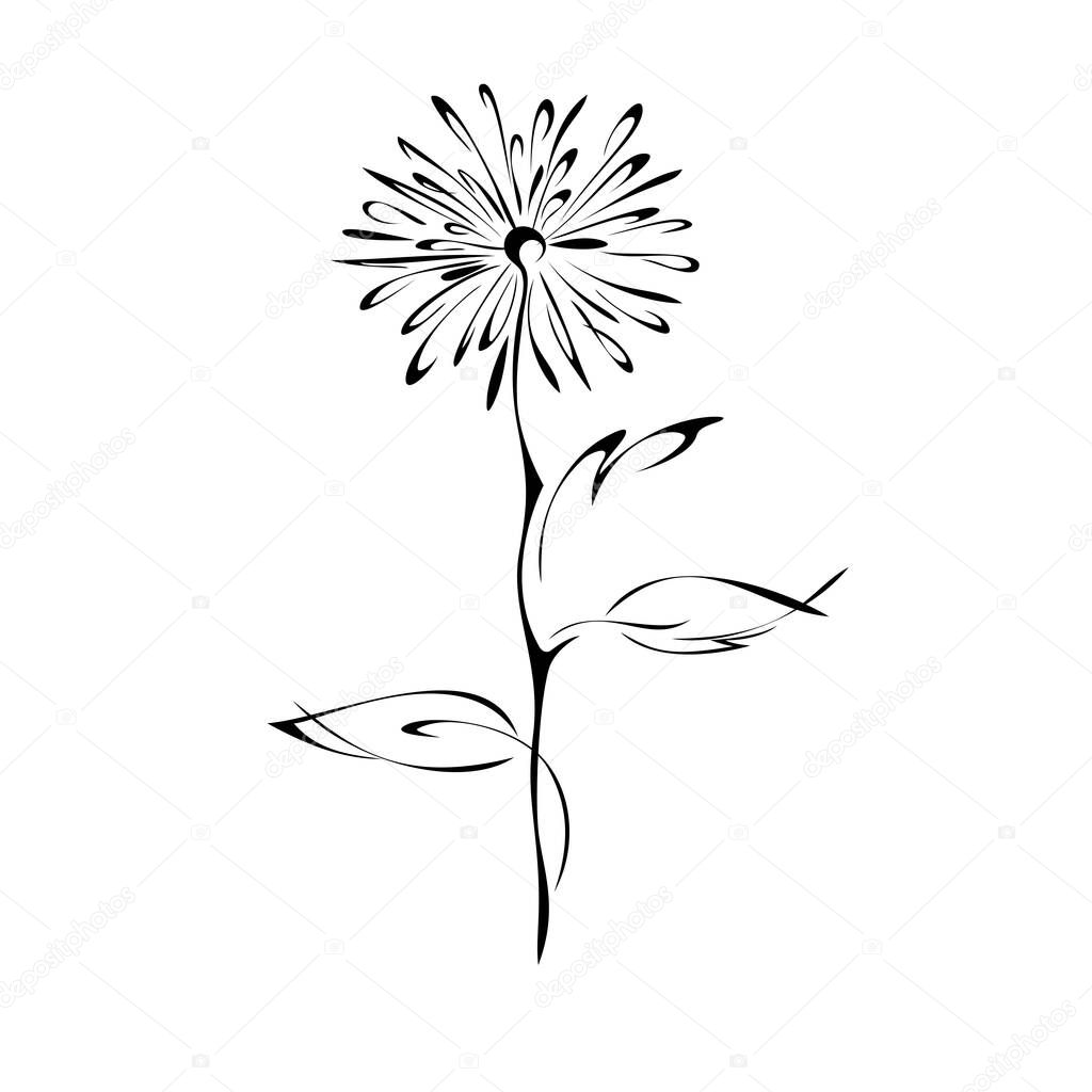 stylized dandelion flower on stem with leaves in black lines on white background