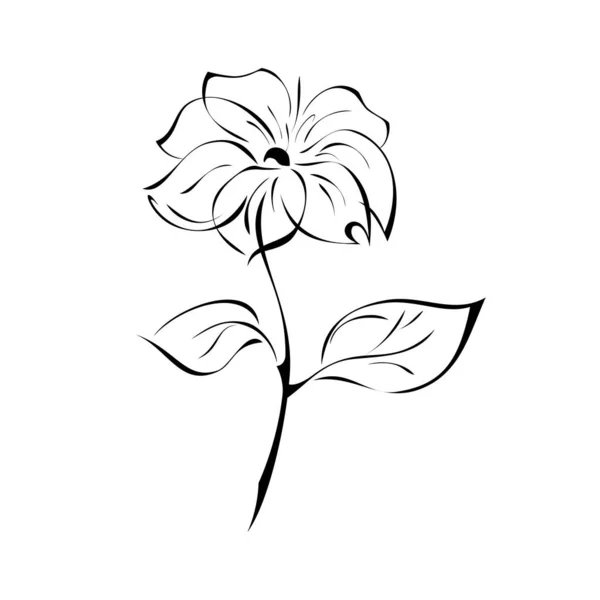 Στυλιζαρισμένο Λουλούδι Στο Στέλεχος Φύλλο Μαύρες Γραμμές Λευκό Φόντο — Διανυσματικό Αρχείο