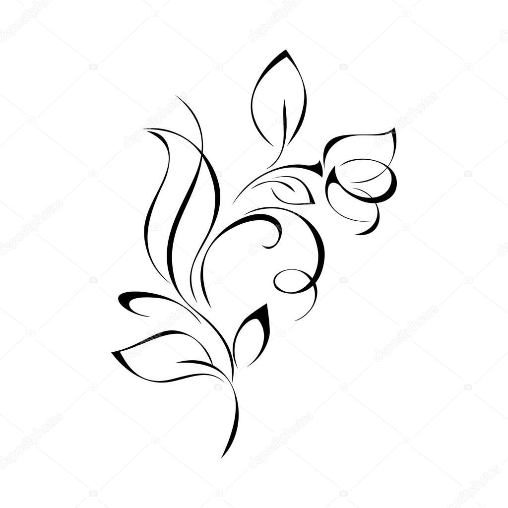one stylized flower on a stem with leaves in black lines on a white background
