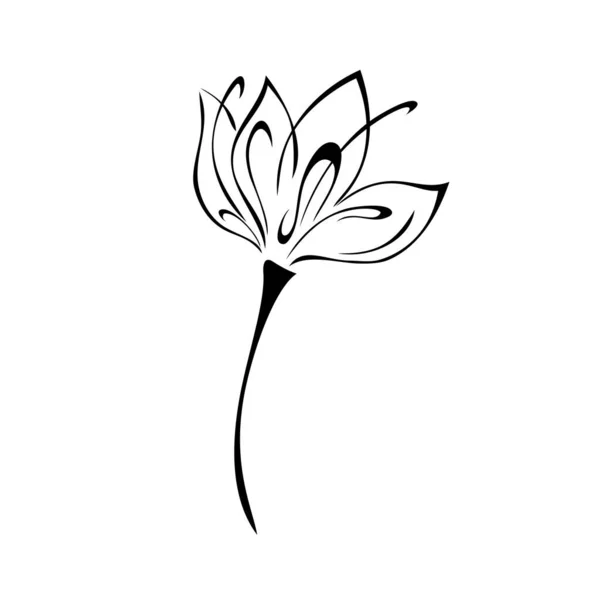 短い茎に大きな花弁を持つ1つの様式化された花 グラフィック装飾 — ストックベクタ