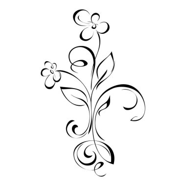 Çiçeklerle, yapraklarla ve beyaz arkaplanda siyah çizgilerle süslenmiş.