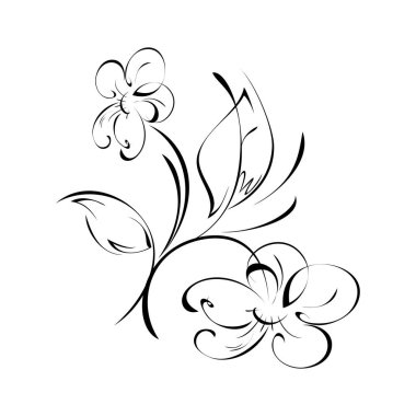 Sapında büyük taç yaprakları olan iki çiçek. Beyaz arkaplanda siyah çizgiler var.